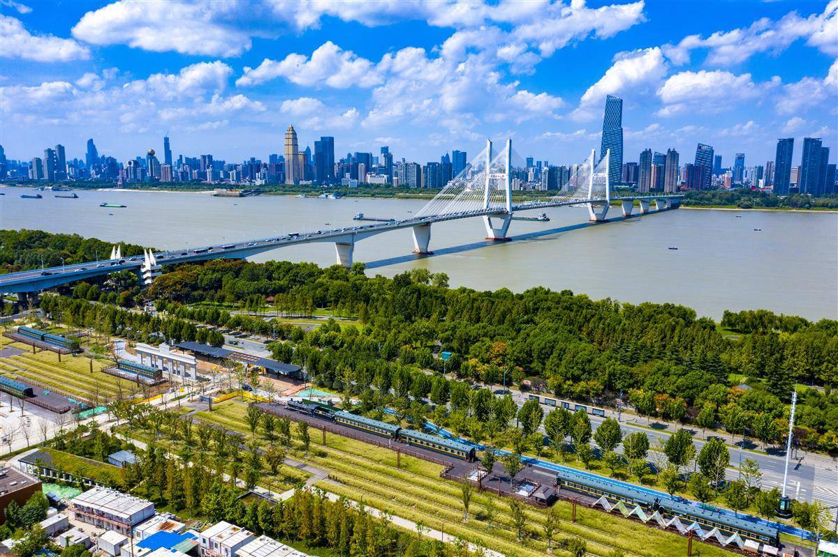 全鲨银鲨下载